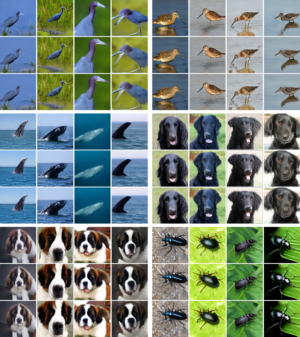 Latent-space ImageNet generation results from Euler Mean Flows